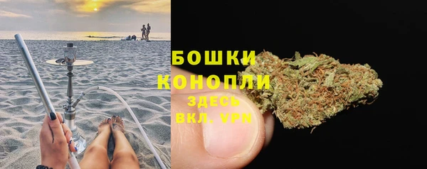 дживик Нефтекумск