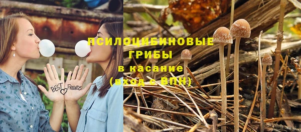 дживик Нефтекумск