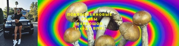 экстази Елабуга