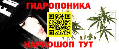 jwh Балашиха