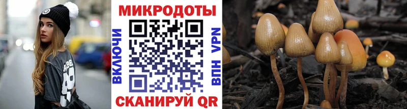omg как зайти  Сафоново  Псилоцибиновые грибы Magic Shrooms  закладки 