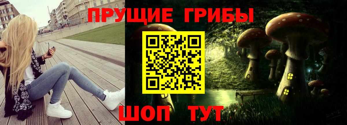 Псилоцибиновые грибы GOLDEN TEACHER Сафоново