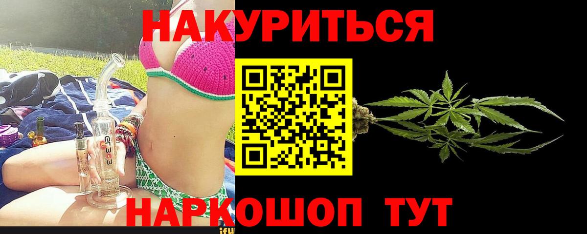 Конопля сатива Сафоново